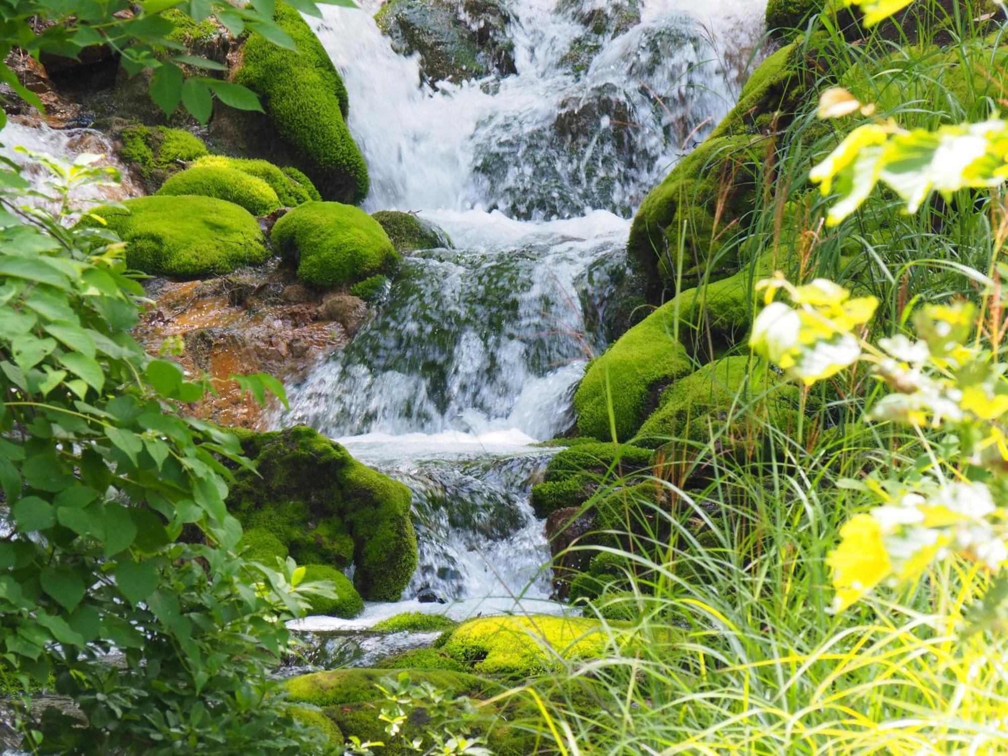 Buna Kusatsu Onsen Inn Exteriör bild